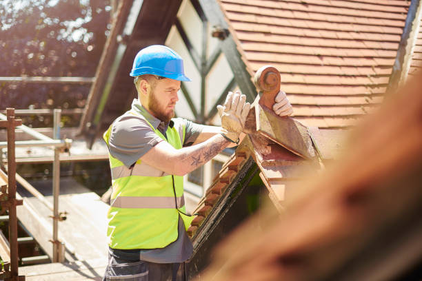 Best Roof Replacement Cost  in Ocean View, DE
